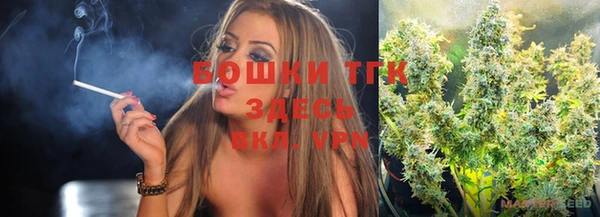 гидра Алексин