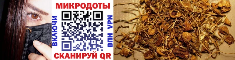 блэк спрут Новошахтинск Псилоцибиновые грибы MAGIC MUSHROOMS